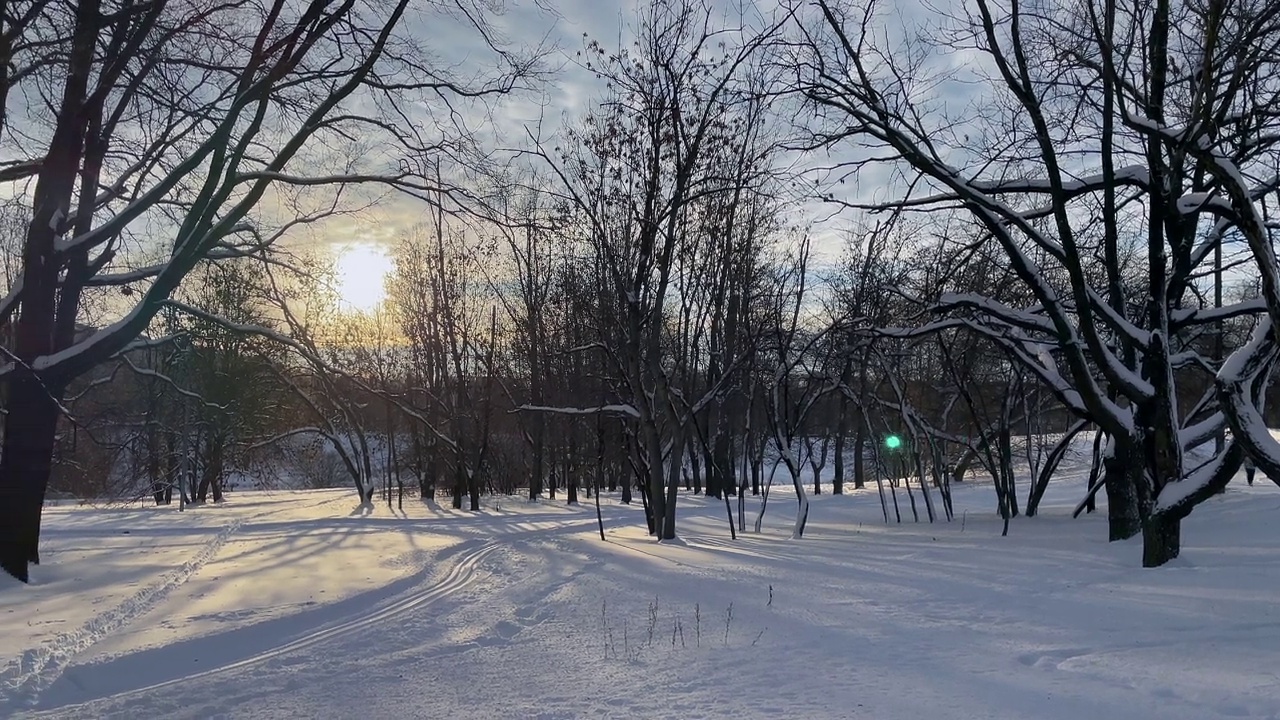 日落时分，公园里有许多树和雪视频素材