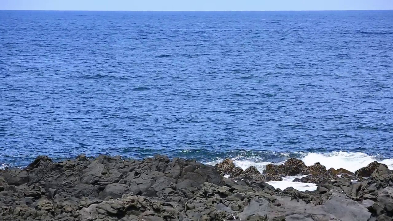 凉爽的海浪拍打着蒙古海滩视频素材