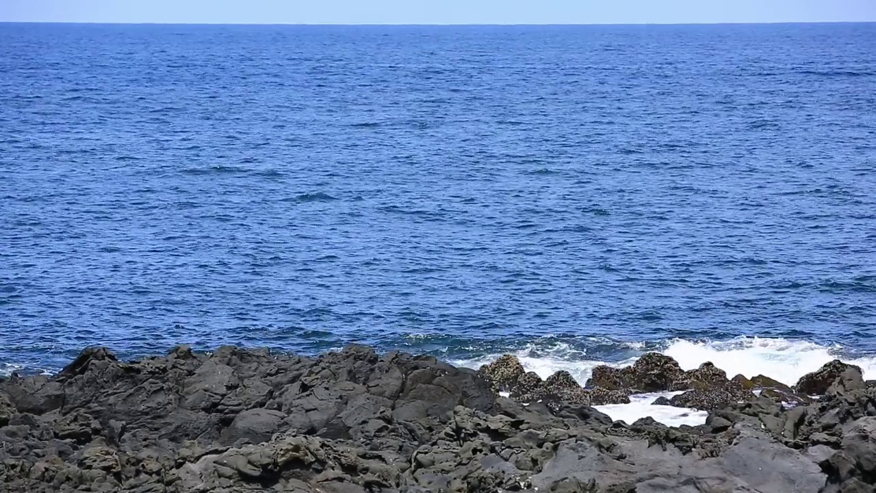 凉爽的海浪拍打着蒙古海滩视频素材