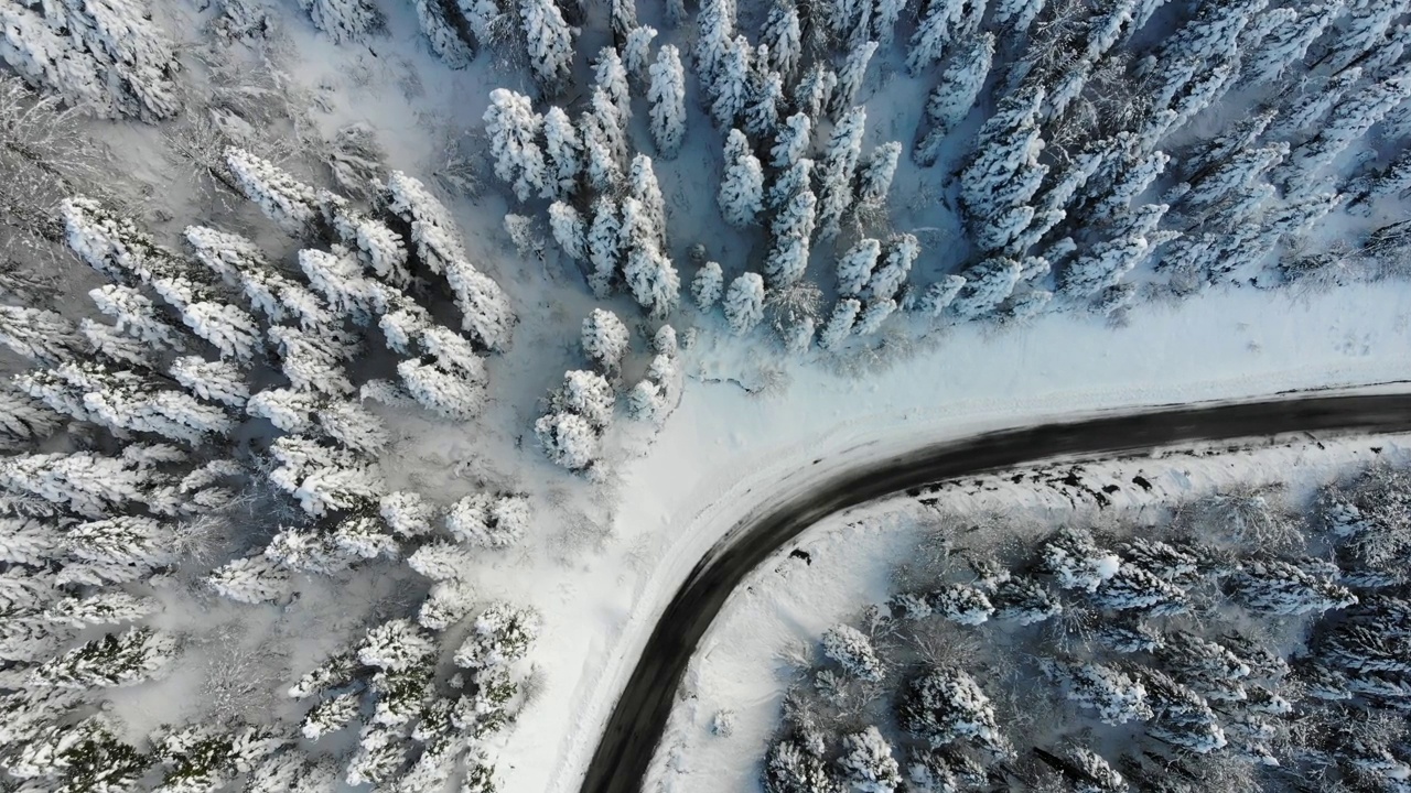 森林及道路景观视频素材