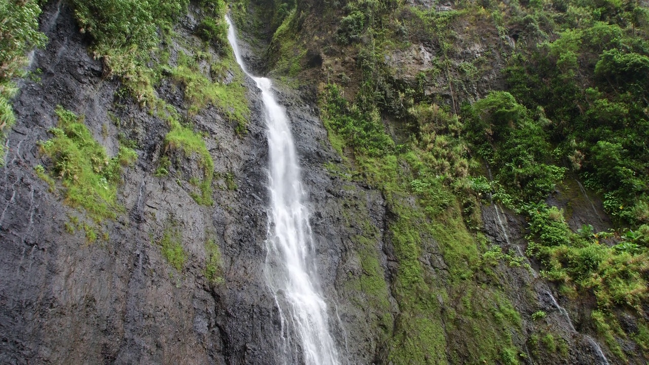 雨林瀑布流入池塘视频素材