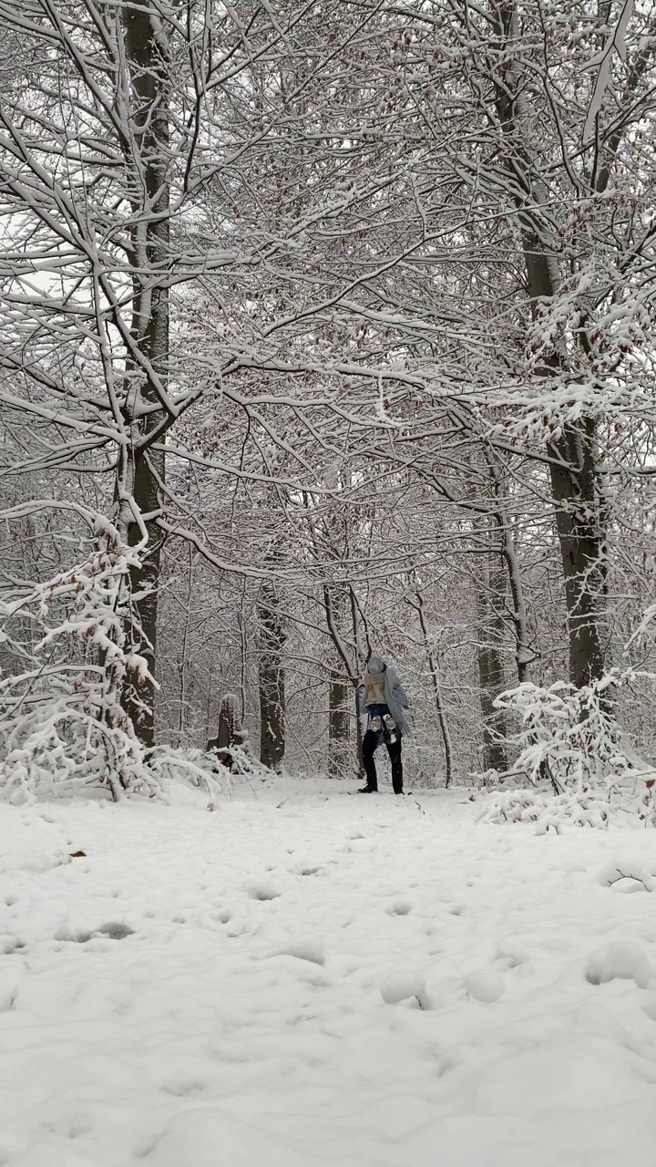 幸福的情侣走在白雪覆盖的冬季森林视频素材