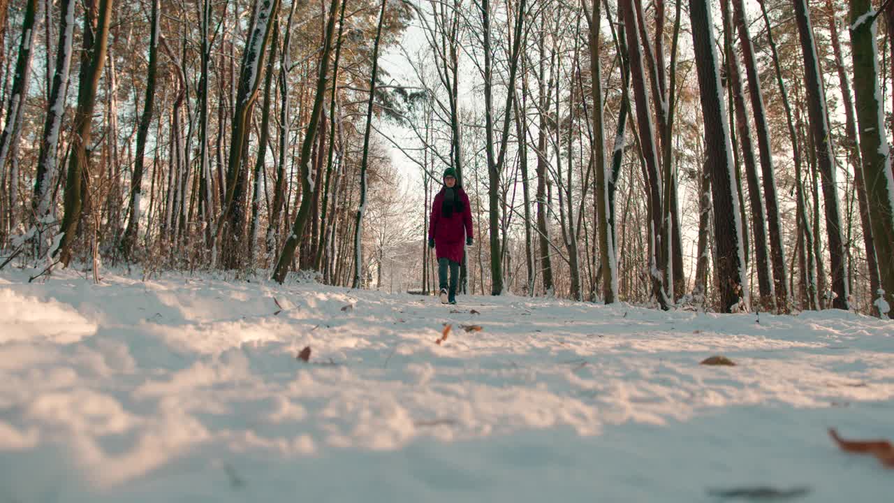 日落时分，女人走在冰雪覆盖的森林里视频素材