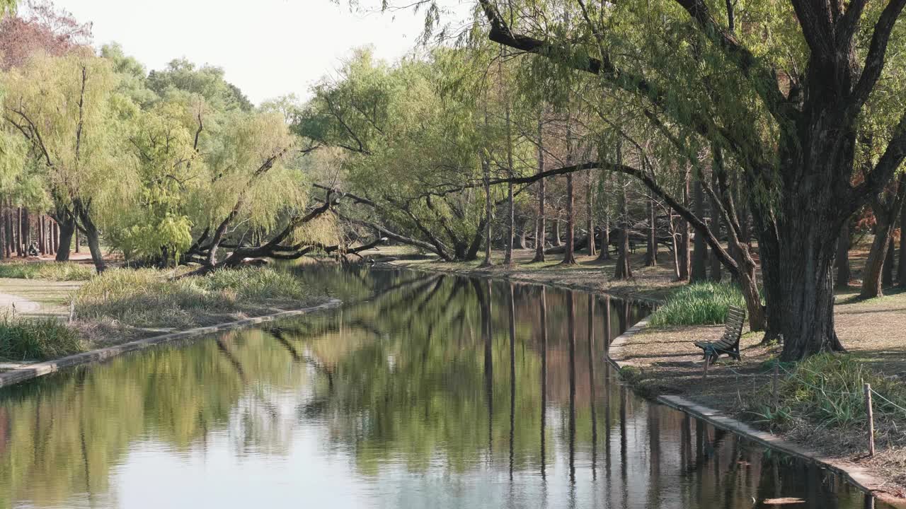 美丽的秋季景观4k慢动作镜头，多彩的森林与倒影在和平的湖泊像画在阳光灿烂的日子，循环的视频。视频素材