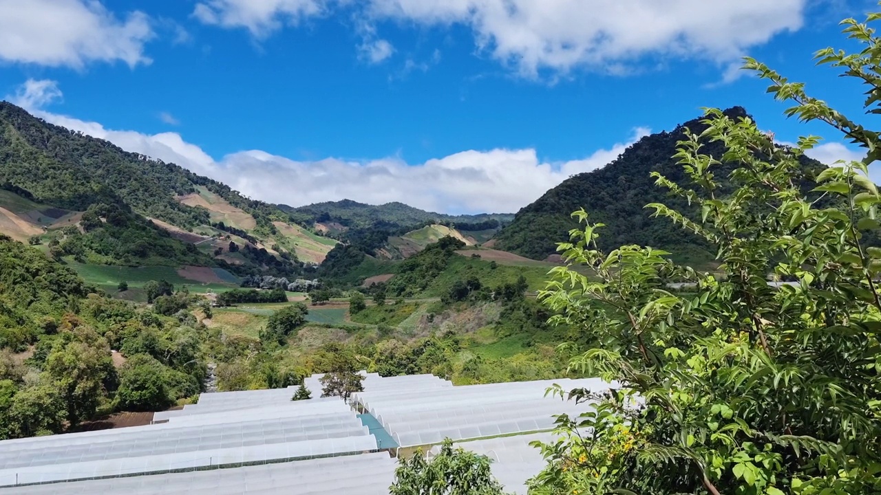 巴拿马，Chiriqui省，Cerro Punta镇山谷中的温室视频素材