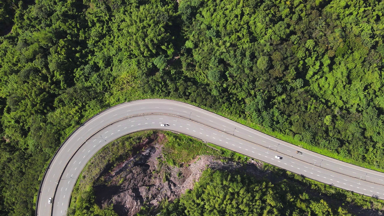 北亚森林内蜿蜒的道路。视频素材