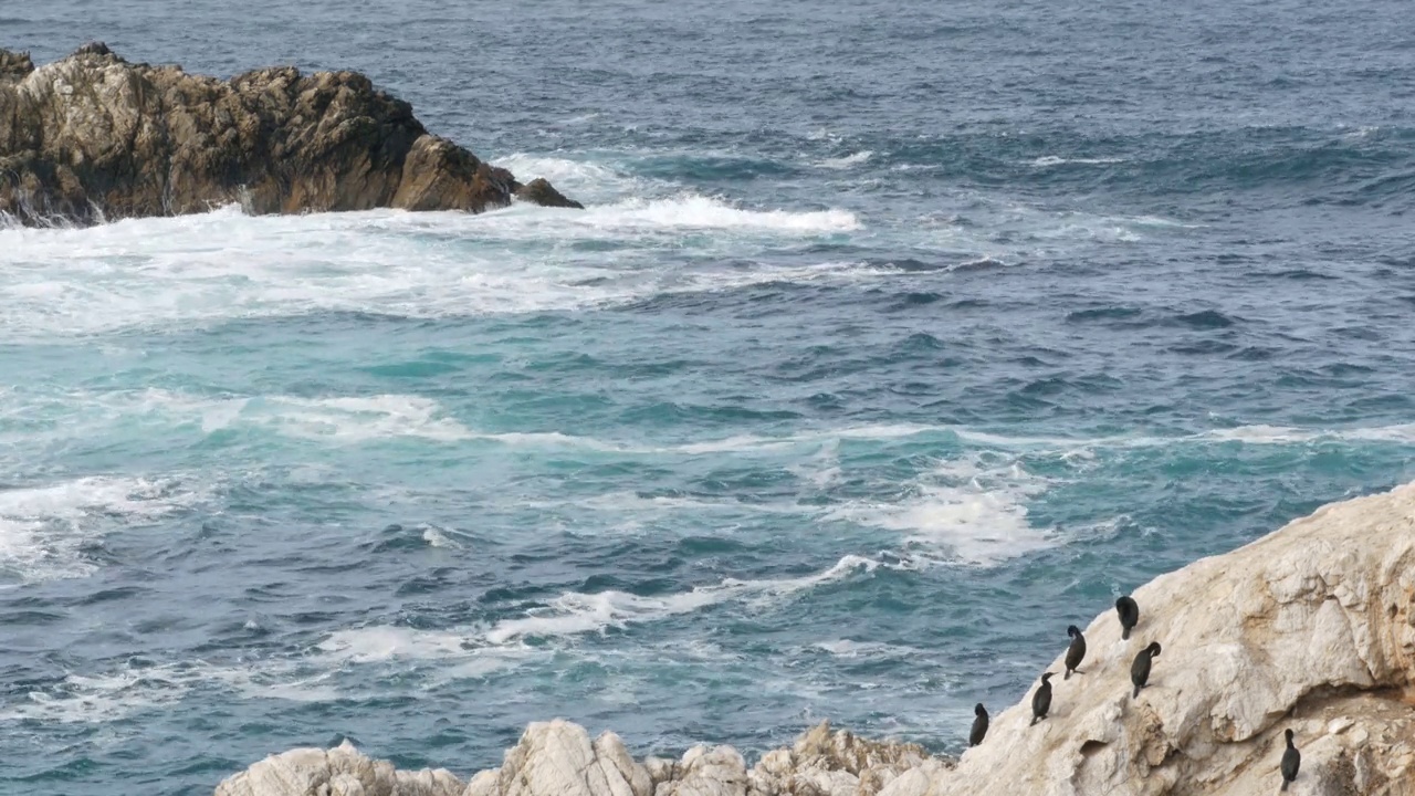 悬崖的岩石峭壁，海洋海滩，Point Lobos，加利福尼亚海岸。波崩溃。视频素材