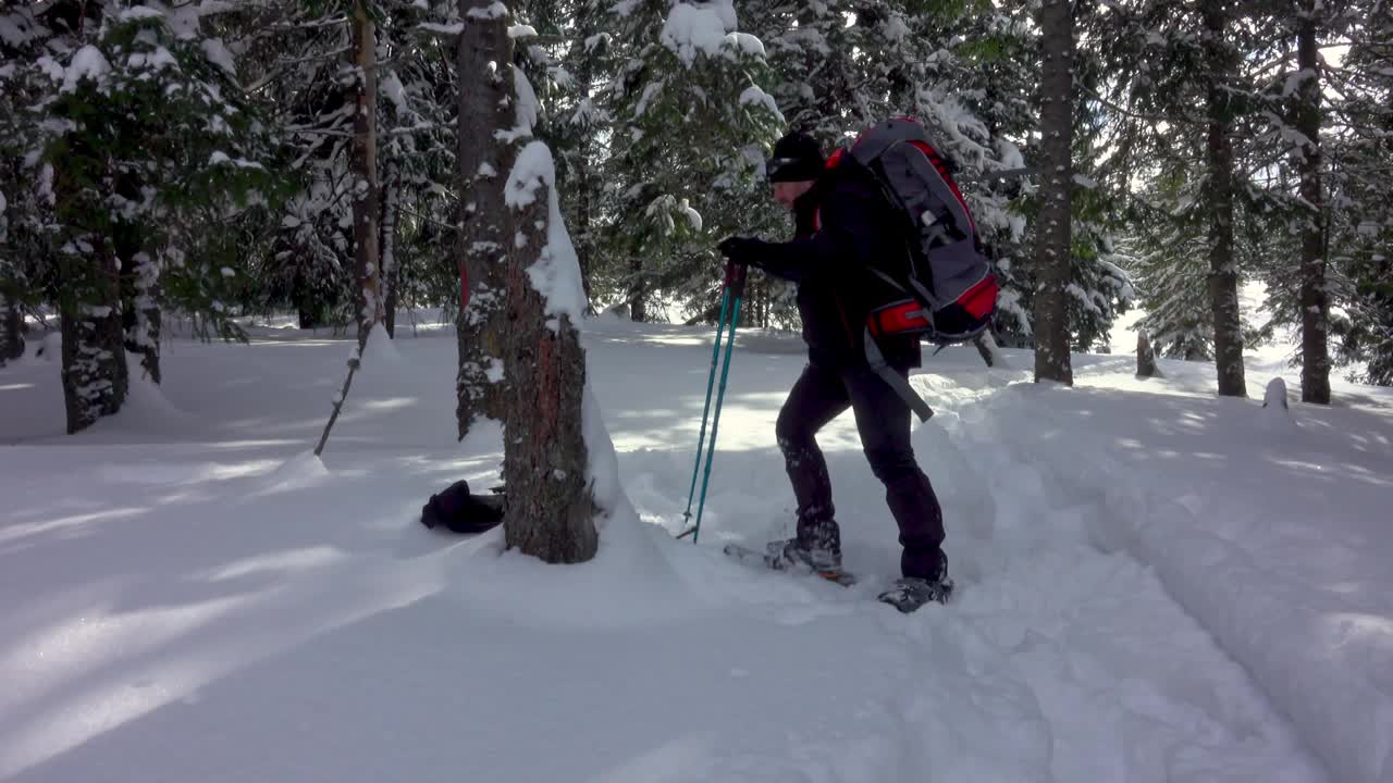 徒步旅行者背着背包行走在冰雪覆盖的高山冬季森林视频素材