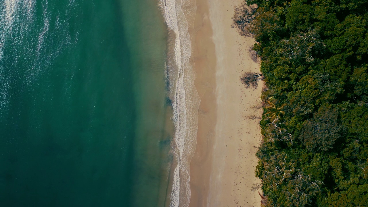 热带海角苦难沙滩在丹特里雨林，美丽的空中无人机cinemagraph /无缝视频循环。清澈的蓝色海水在波浪中轻轻移动，白色的沙滩和棕榈树。澳大利亚岛屿冒险，冲浪和蜜月。视频素材