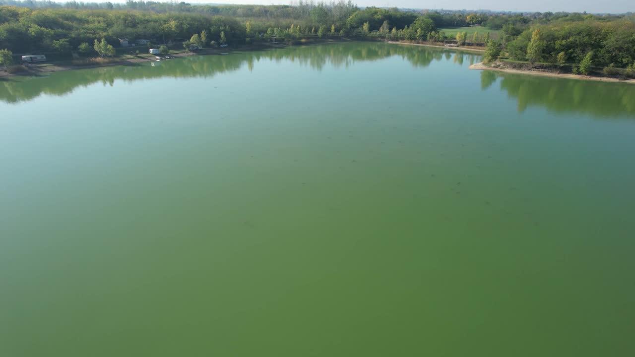 很多鱼在湖面上吃东西视频素材