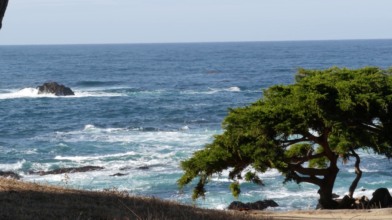 岩石海岸，海浪，柏松树，17英里车程，蒙特利，加利福尼亚视频素材