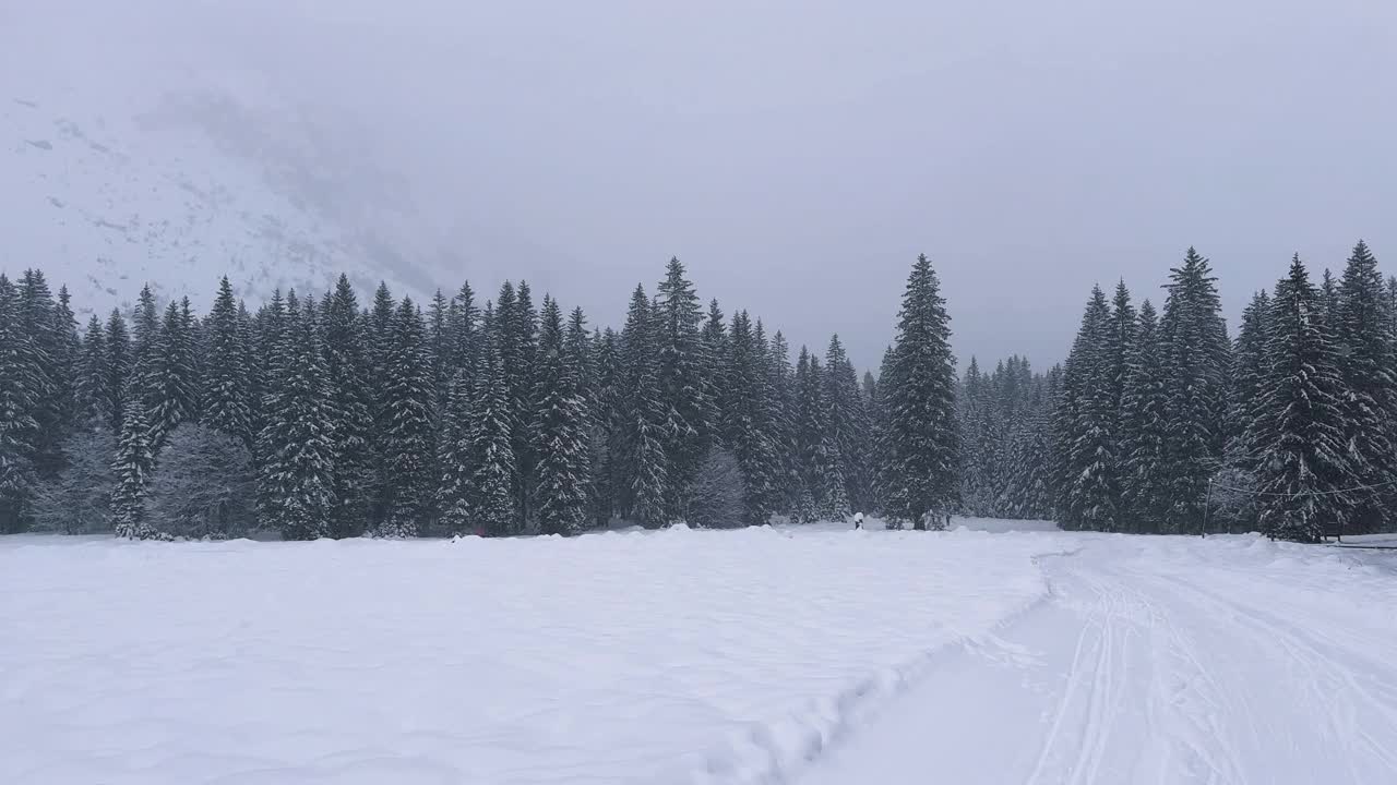 雪天里雄伟的山谷视频素材