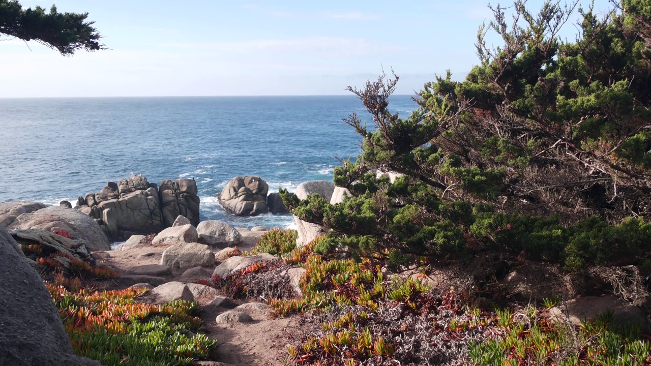 岩石海岸，海浪，柏松树，17英里车程，蒙特利，加利福尼亚视频素材