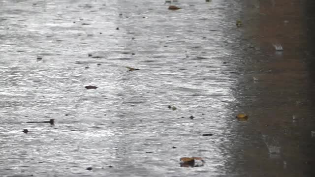 在寒冷的秋天，雨滴落在潮湿的地面上视频素材