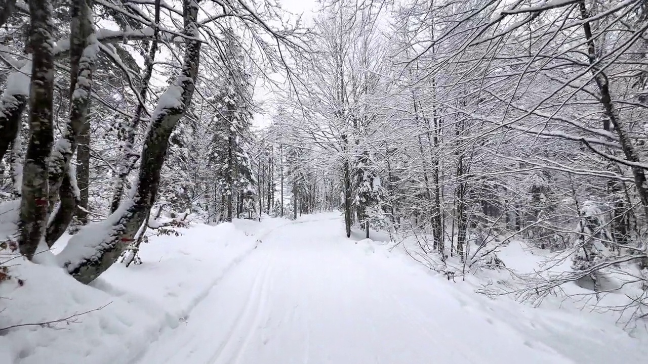 美丽的雪天里的山谷视频素材