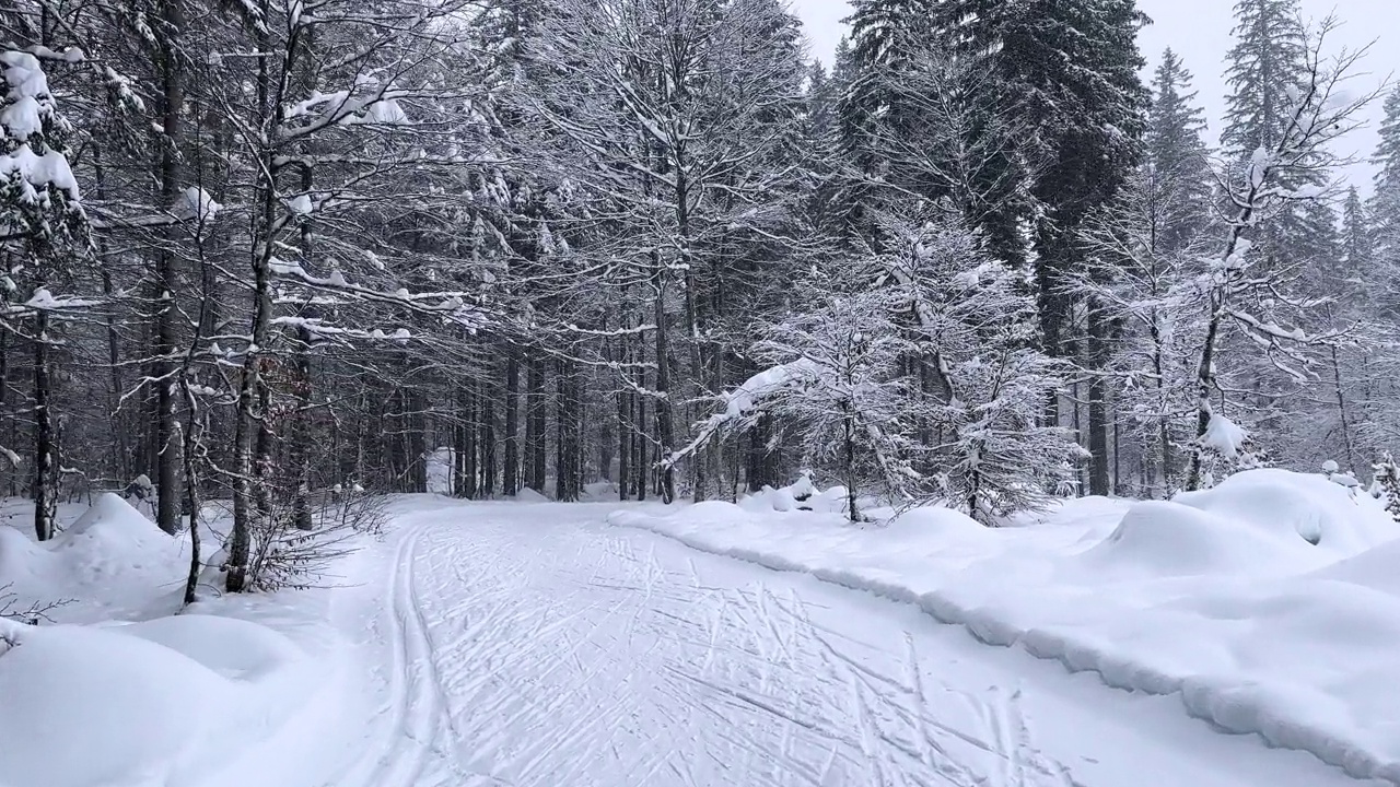 在一个大雪纷飞的冬日，穿越超现实的山谷视频素材