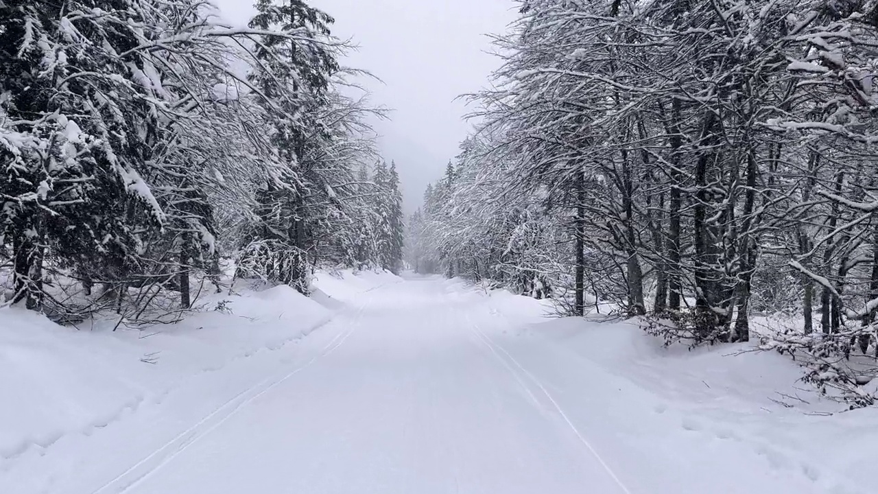 通往白雪覆盖的雄伟山谷的小路视频素材