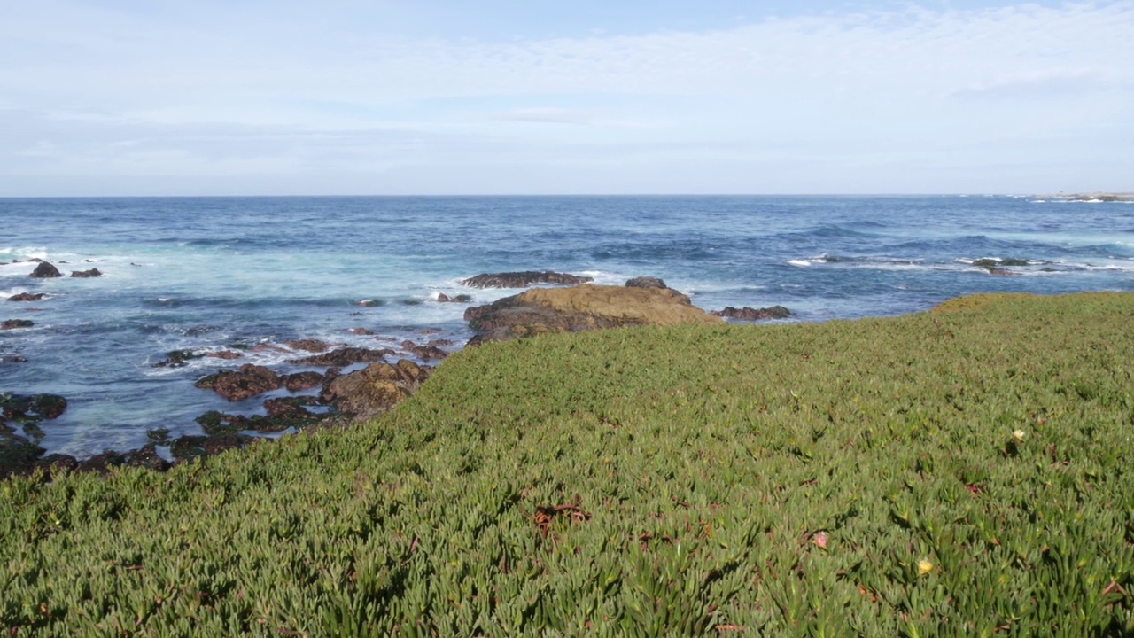 加州蒙特利，17英里车程。海岸岩石嶙峋，波涛汹涌。肉质植物视频素材