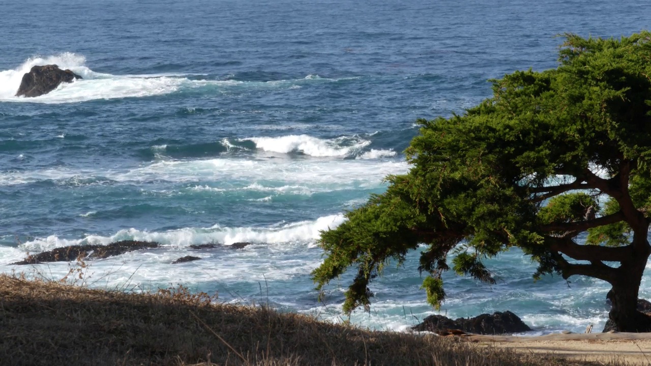 岩石海岸，海浪，柏松树，17英里车程，蒙特利，加利福尼亚视频素材