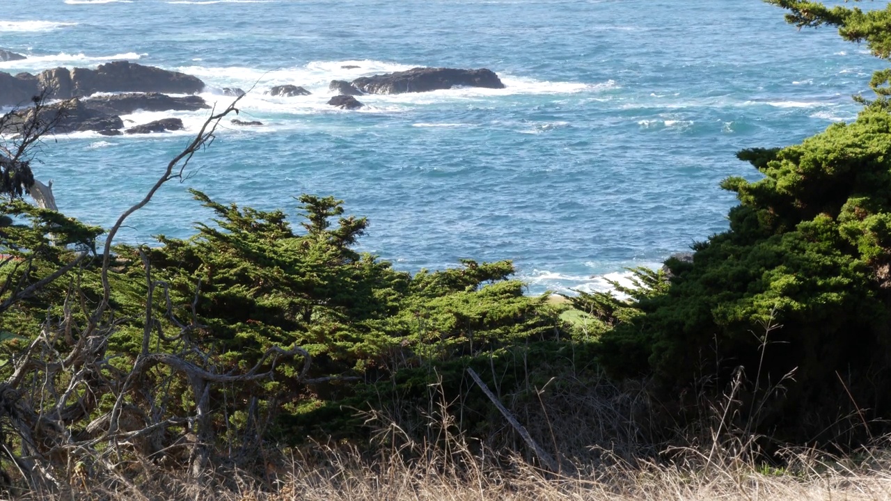 岩石海岸，海浪，柏松树，17英里车程，蒙特利，加利福尼亚视频素材