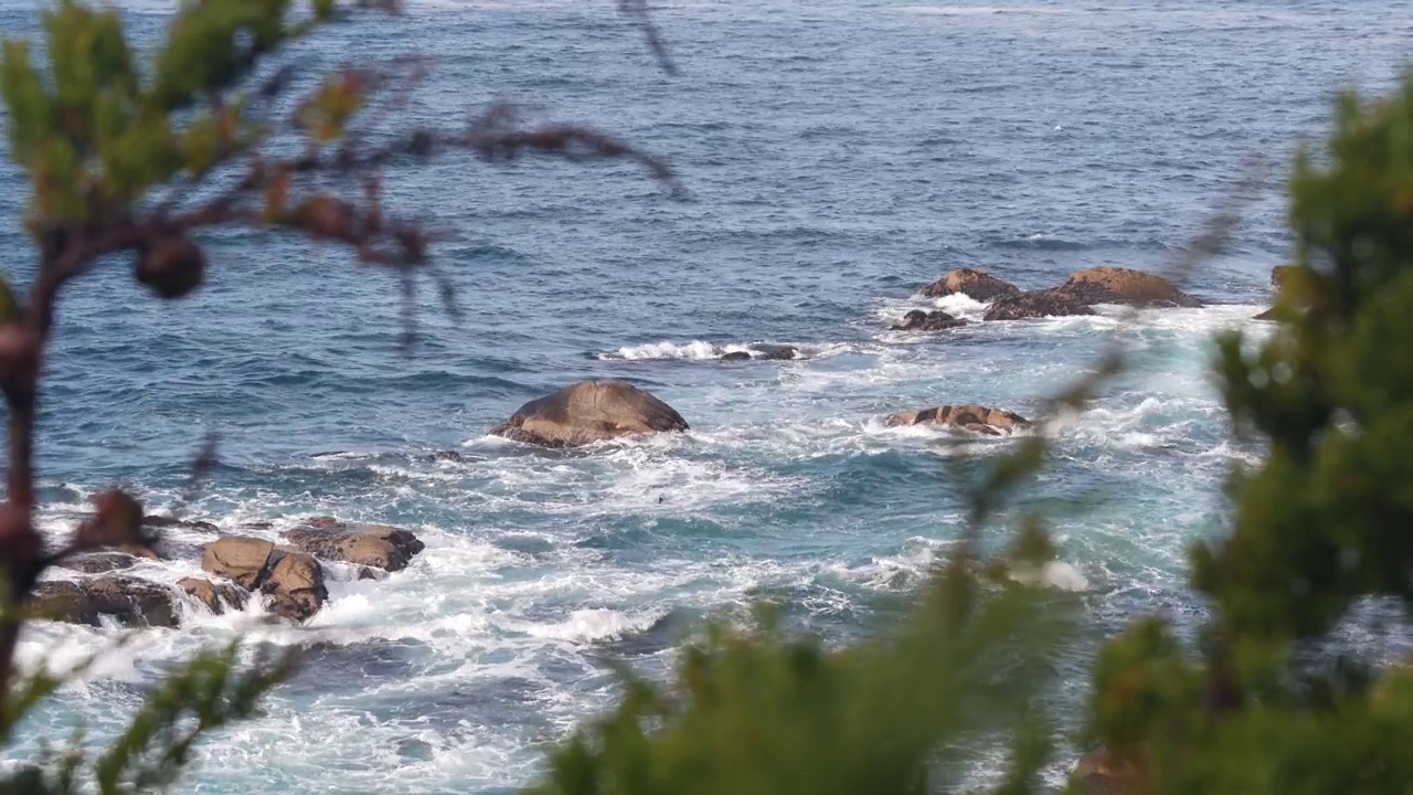 岩石海岸，海浪，柏松树，17英里车程，蒙特利，加利福尼亚视频素材