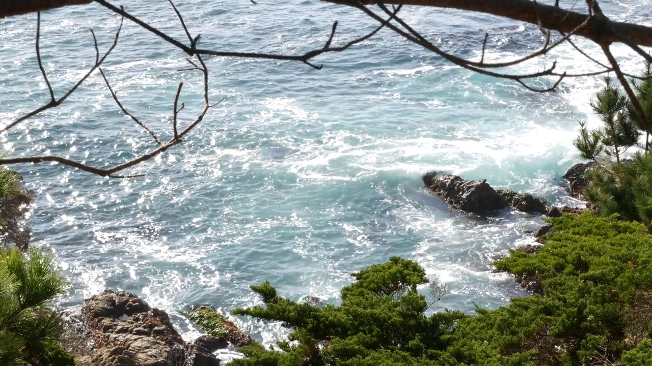 岩石海岸，海浪，柏松树，17英里车程，蒙特利，加利福尼亚视频素材