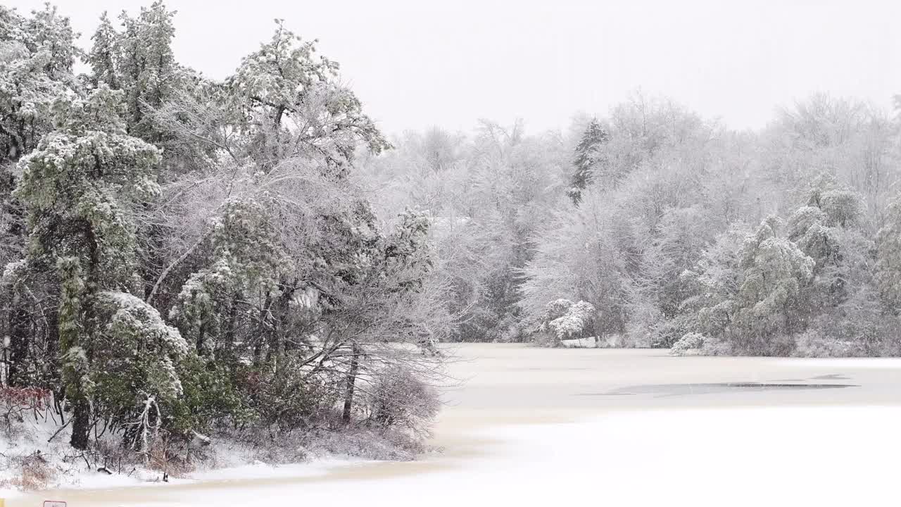 新鲜的降雪覆盖在白雪覆盖的湖泊景观上视频素材