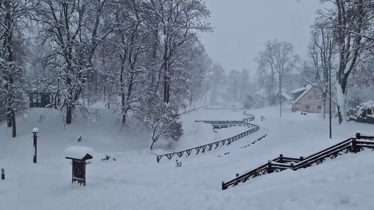 拉脱维亚的暴风雪，白雪覆盖的公园和树木。视频素材