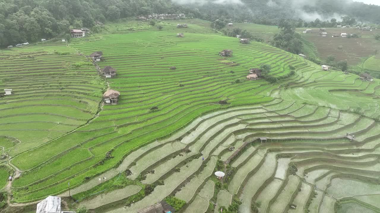 在清迈班帕邦比昂的水稻梯田鸟瞰图。泰国美丽的风景。视频素材