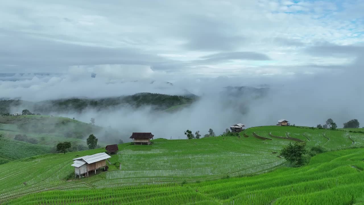 在清迈班帕邦比昂的水稻梯田鸟瞰图。泰国美丽的风景。视频素材