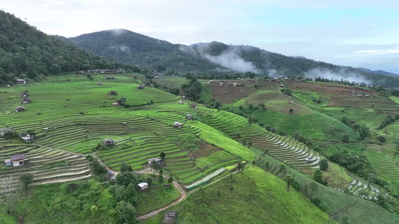 在清迈班帕邦比昂的水稻梯田鸟瞰图。泰国美丽的风景。视频素材