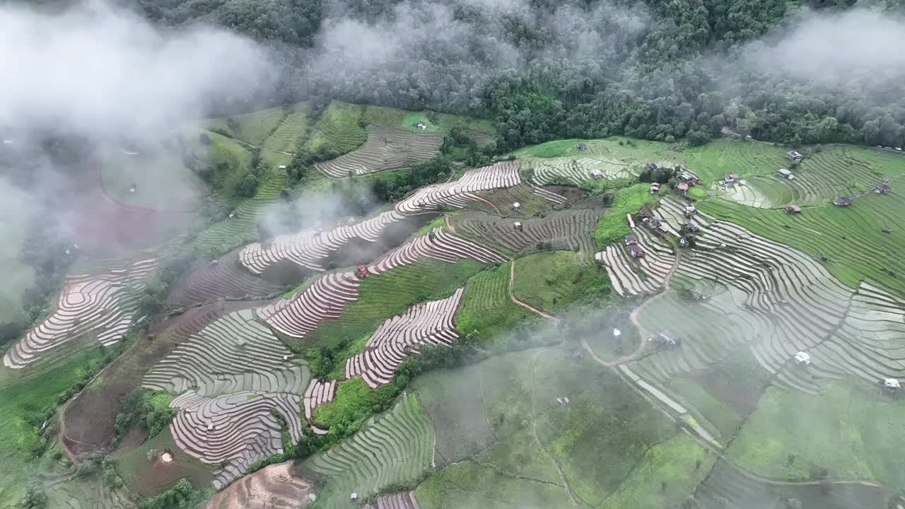 在清迈班帕邦比昂的水稻梯田鸟瞰图。泰国美丽的风景。视频素材