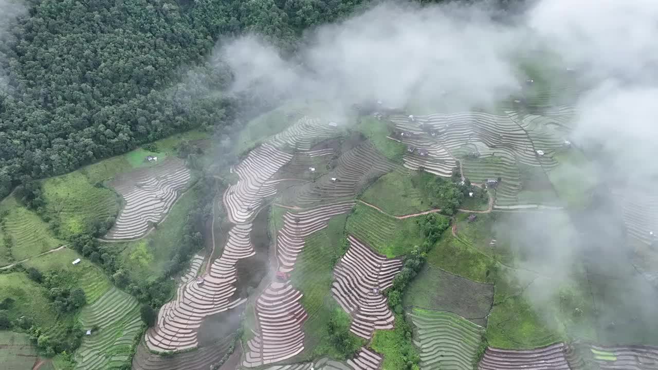 在清迈班帕邦比昂的水稻梯田鸟瞰图。泰国美丽的风景。视频素材