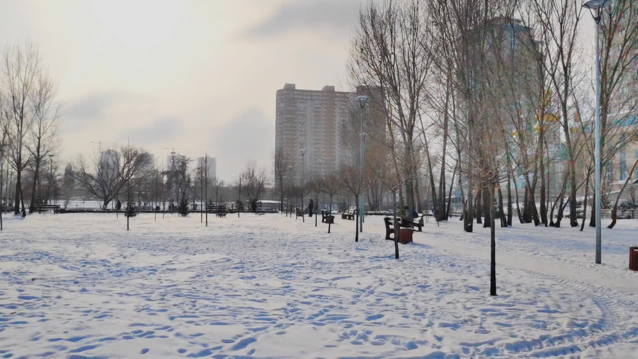 冬季美丽的城市公园风光自然全景，大都市景观。树木，建筑物，新鲜的闪闪发光的雪在阳光灿烂的日子视频下载