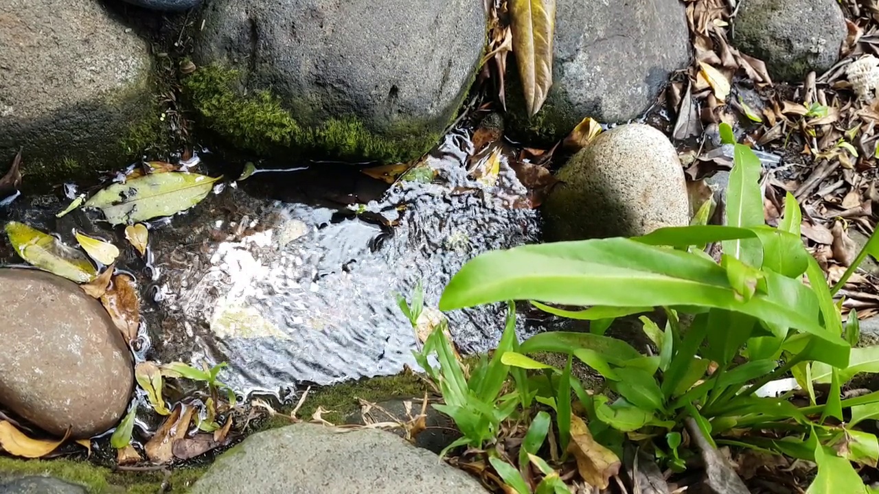 起涟漪的水。视频素材