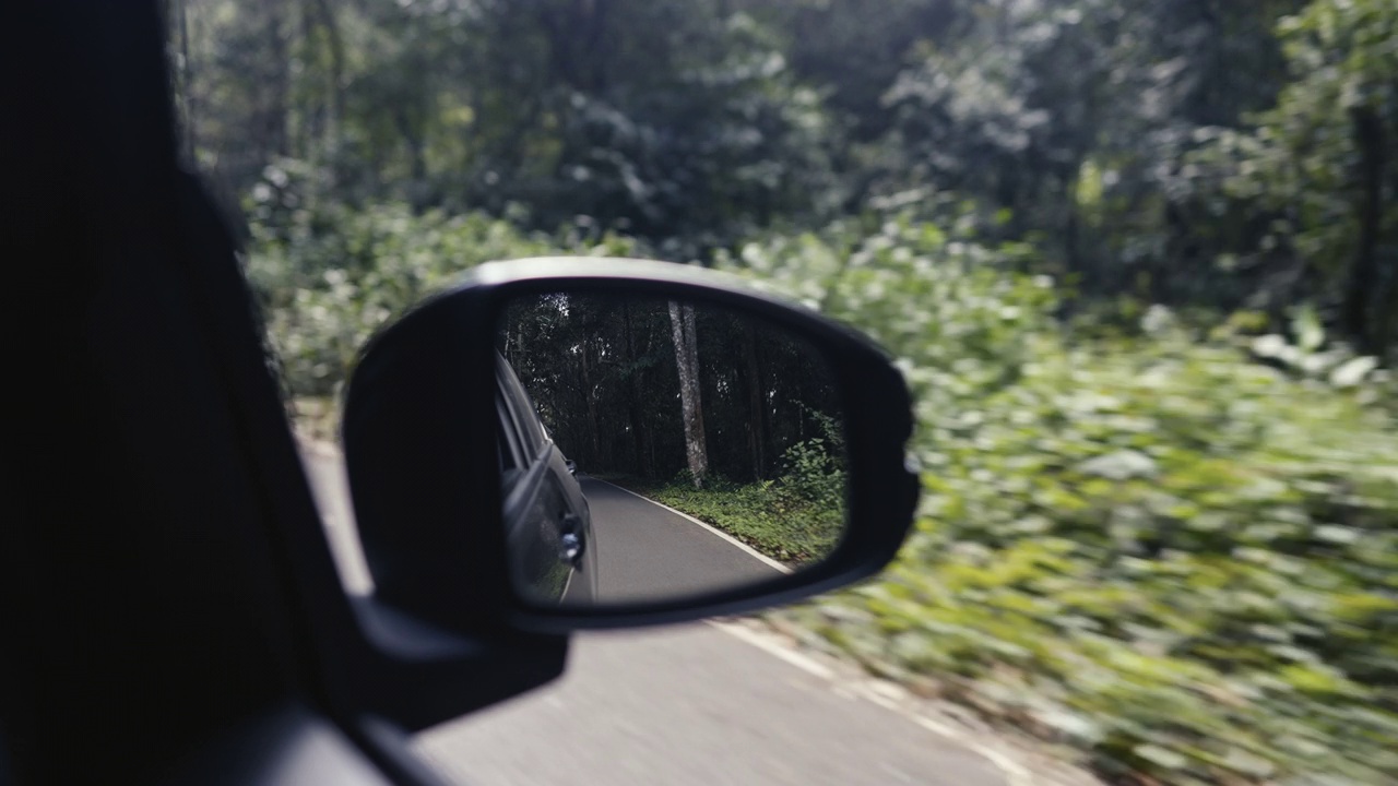 驾驶角度看空旷的道路上有美丽的森林景观视频素材