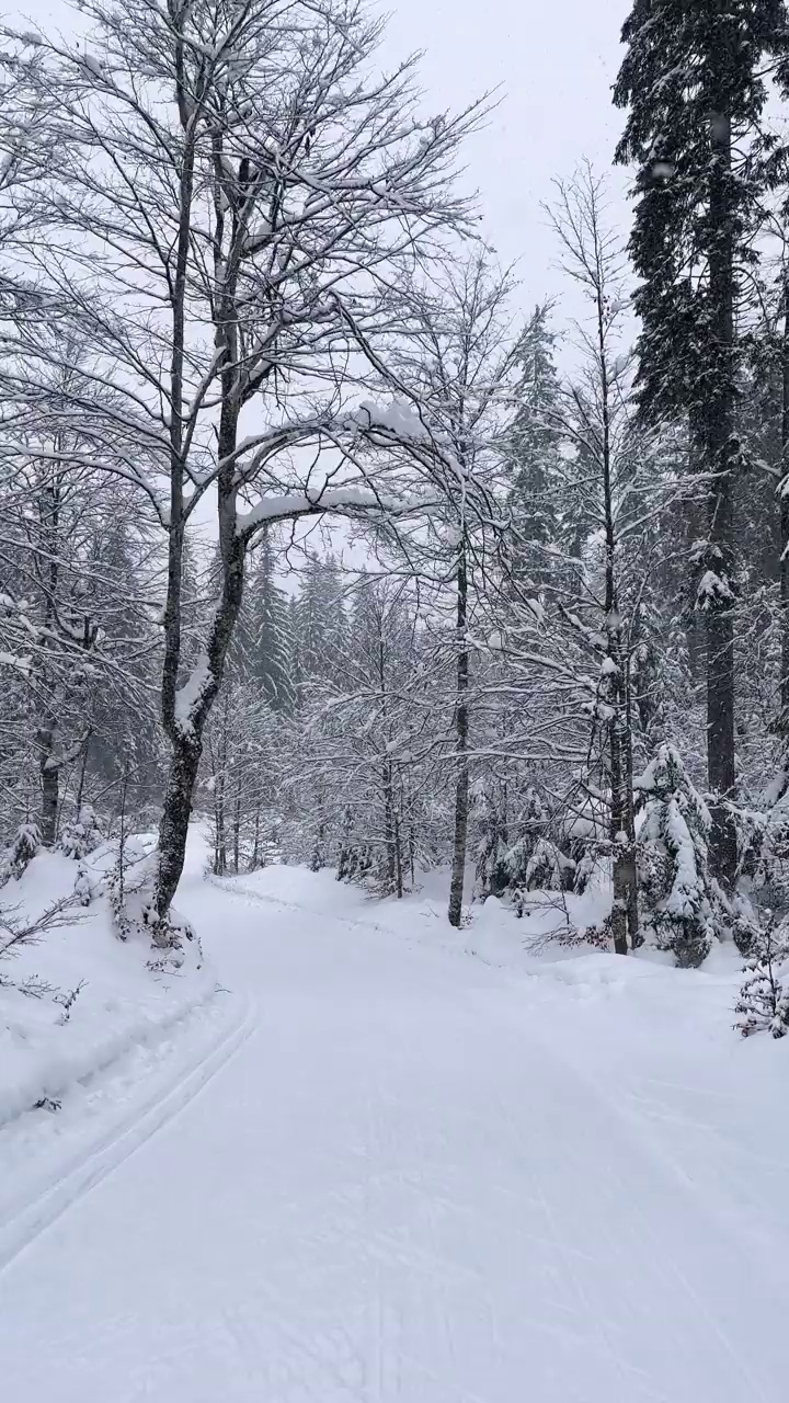 雪天里雄伟的山谷视频素材