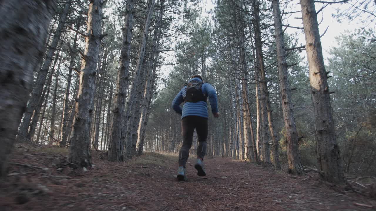 一个寒冷的冬日，在树林里跑步的人。男人在美丽的森林里奔跑。后视图。阳光在树间照耀。以120帧每秒记录。视频素材