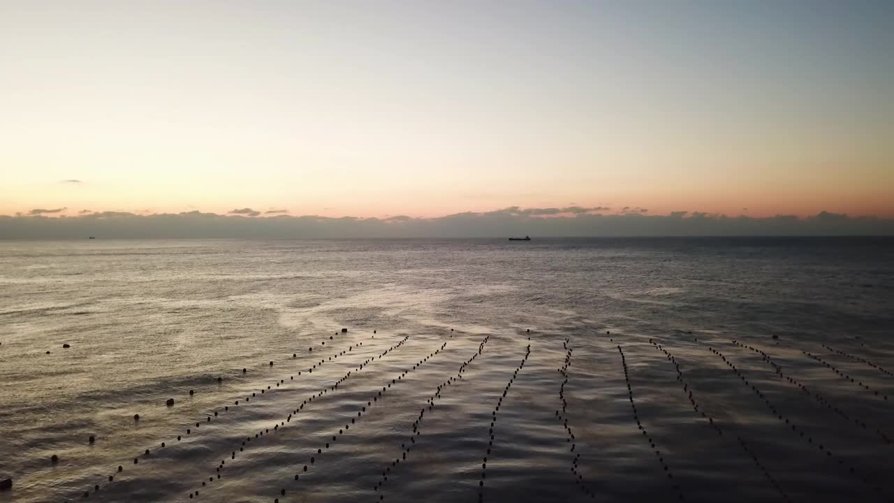 自然风景-海边的日出，海藻农场和黎明和早晨的货船/釜山海云台区，韩国视频素材