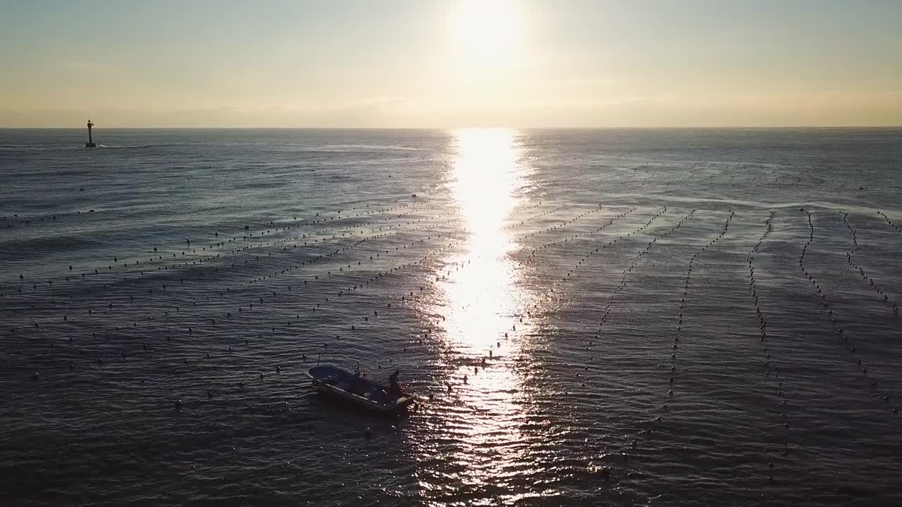 自然风景-日出和太阳附近的渔民在渔业工作，渔船和海藻养殖场在黎明和早晨/海云台区，釜山，韩国视频素材