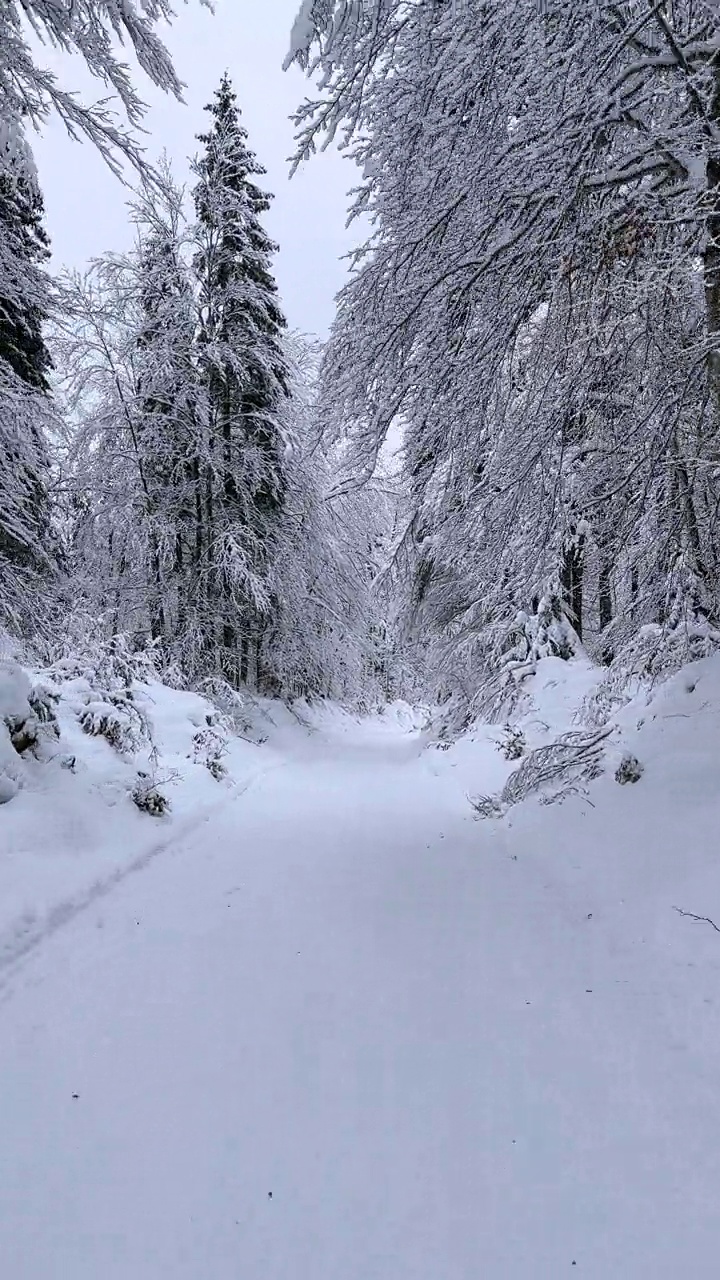 在一个大雪纷飞的冬日，穿越超现实的山谷视频素材