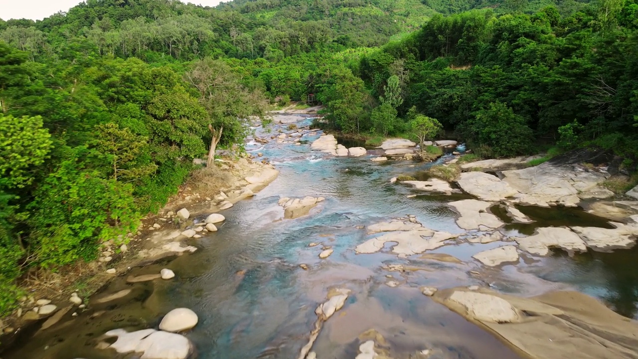 绿色森林中间的一条山间河流，岸边有树木和石头。视频素材