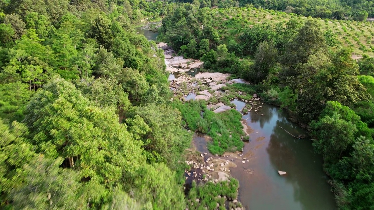 绿色森林中间的一条山间河流，岸边有树木和石头。视频素材