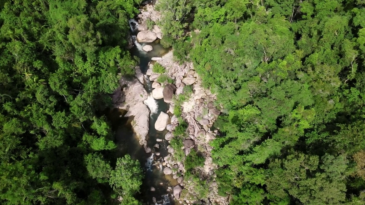 绿色森林中间的一条山间河流，岸边有树木和石头。视频素材