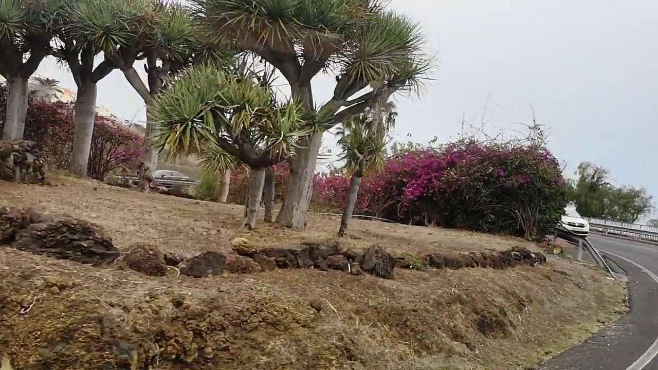 在西班牙特内里费岛的Puerto de la Cruz郊区的高速公路上开车。视频13秒视频素材