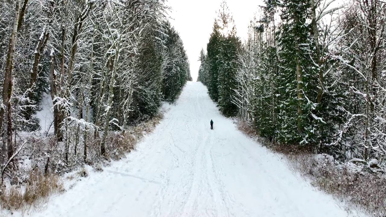 鸟瞰劈板滑雪上山雪坡视频素材