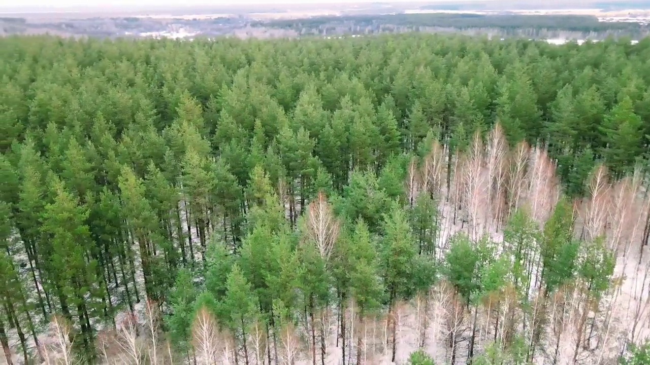 鸟瞰图的村庄森林和景观视频素材