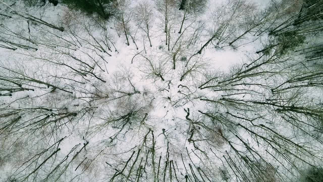 鸟瞰图的村庄森林和景观视频素材