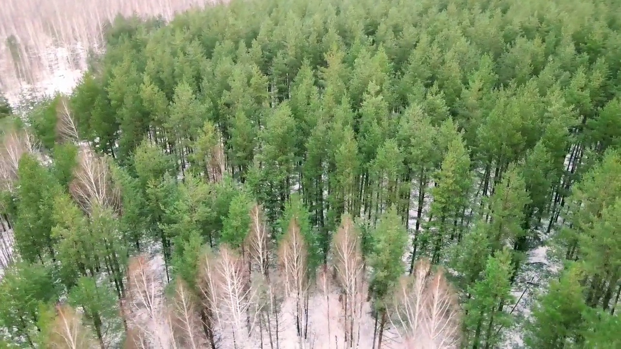 鸟瞰图的村庄森林和景观视频素材