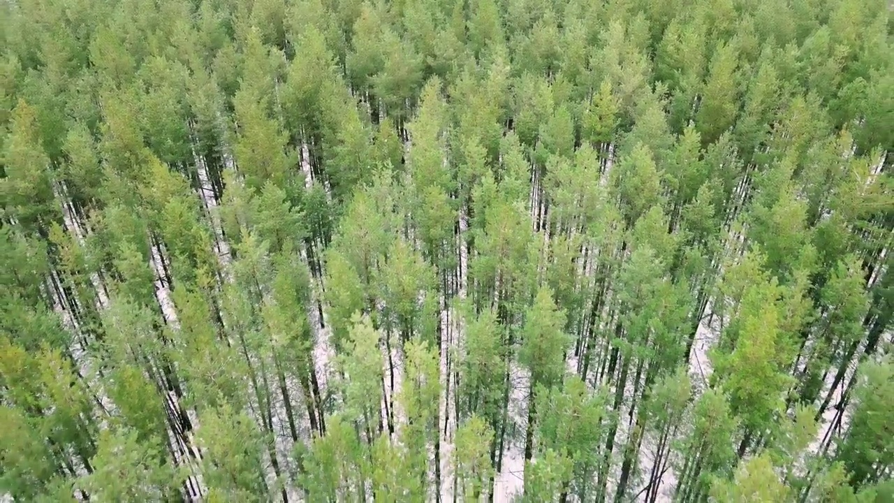 鸟瞰图的村庄森林和景观视频素材